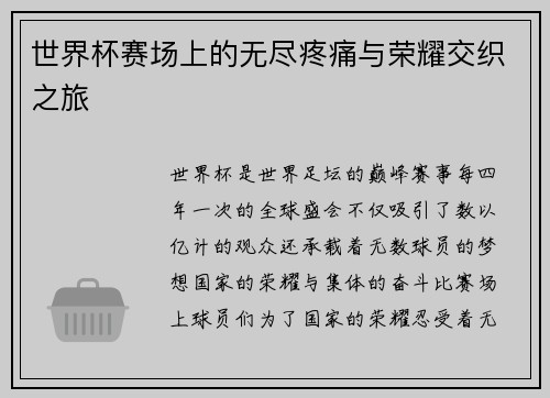 世界杯赛场上的无尽疼痛与荣耀交织之旅